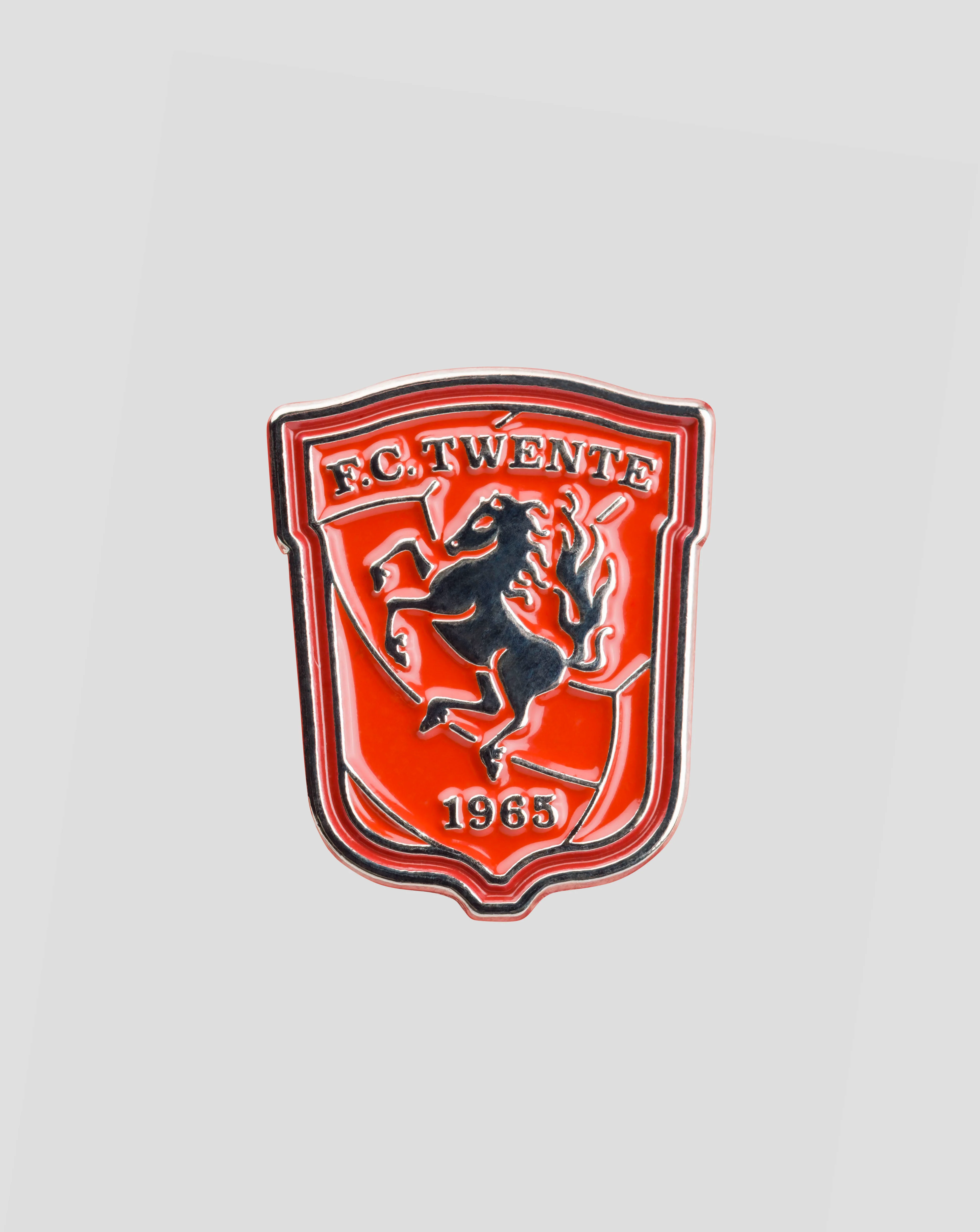 TWENTSE ROS MAGNEET